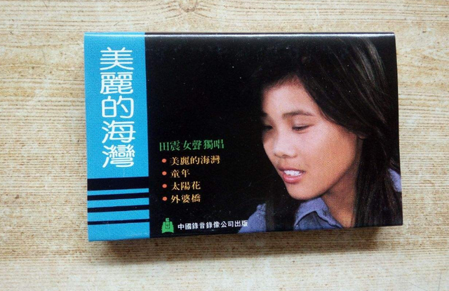 苏苪清网名，苏苪清微信昵称（因不良爱好走下神坛的田震现状如何）