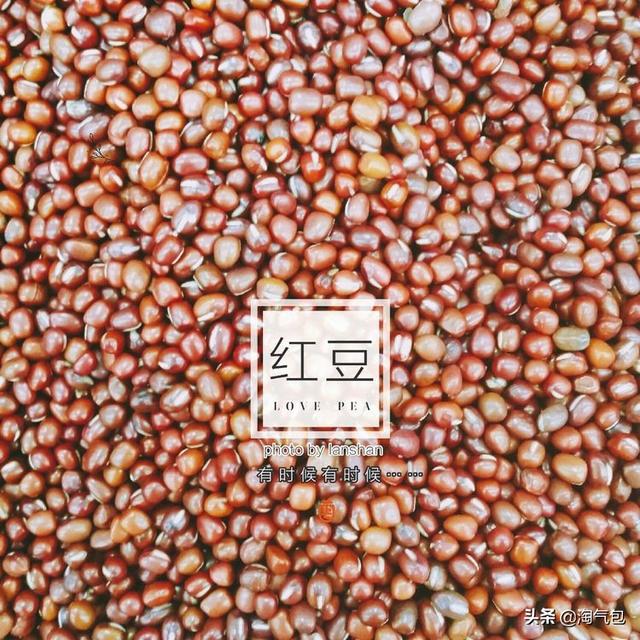 12个月都有什么情人节，二月没过情人节的今天补上