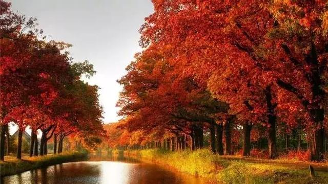 白露是什么时候，白露是几月几号2022年（昼夜等长，今日秋分）