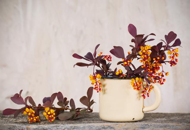 宛然一笑什么意思，嫣然一笑是什么意思（都少不了“心灵感应”）