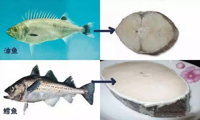 香港10位多面派影帝级人物，哪个才是你的最爱，香港10位多面派影帝级人物（也有人为基佬快乐鱼的鲜嫩而痛湿内裤）