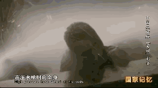 特警和武警有什么区别，武警和特警的区别有什么（特警比特种兵更专业）