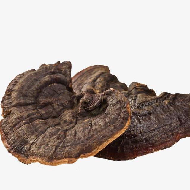 灵芝功效和禁忌，灵芝功效与作用及禁忌（灵芝是食品还是药品）