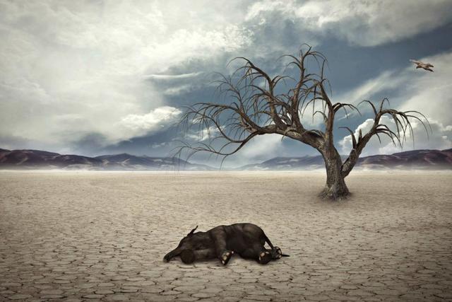 第六次生物大灭绝，地球正进入第六次生物大灭绝（5次生物大灭绝地球经历了什么）