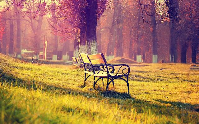 十二星座智商情商双高排行榜，十二星座的智商和情商排名（情商更高的三大星座）