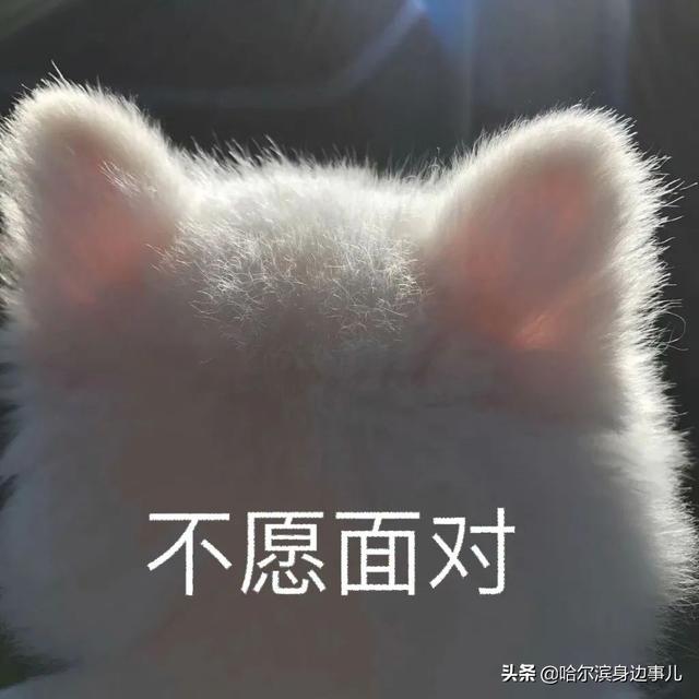 欧尼酱是姐姐的意思吗，欧尼是什么意思（那些A站、B站、C站、D站……H站、P站都是什么网站）