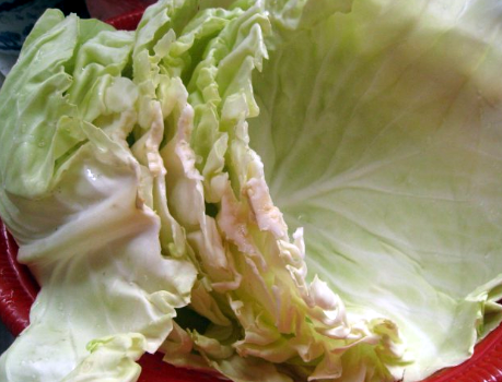生腌包菜的腌制方法，生腌包菜的做法（当天做当天就能吃）