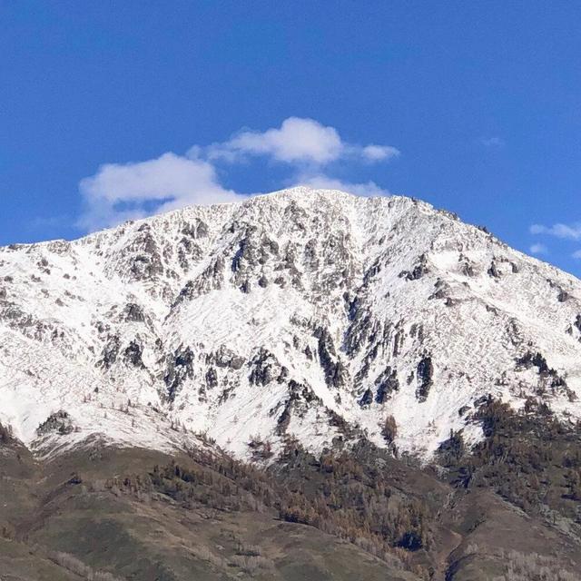 唯美头像，唯美头像女有气质迷人（唯美头像+背景图套图）