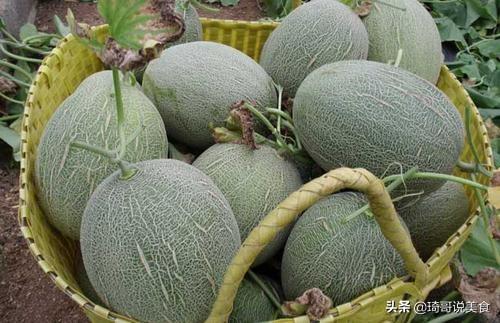 怎样挑选哈密瓜，什么样的哈密瓜好吃（喜欢吃西州蜜瓜的朋友）