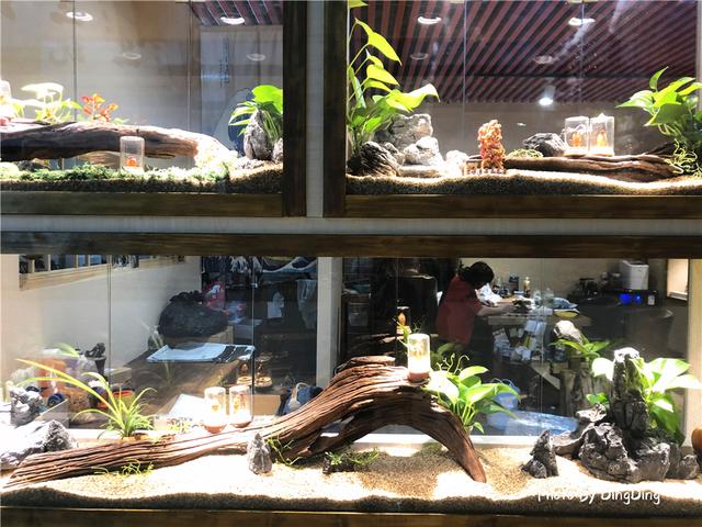 潘家园在北京哪个区，北京潘家园在北京哪个区（如今没有老物件和玩意儿）