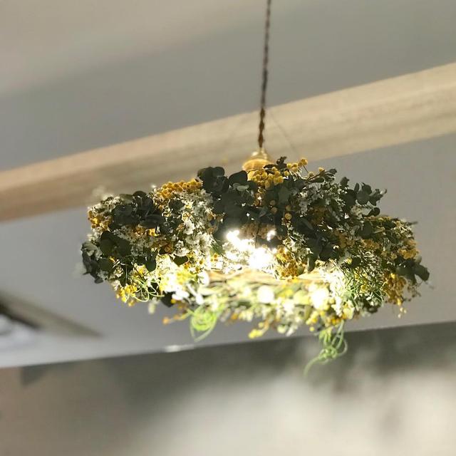 香皂花是什么材质做的，肥皂花是什么材料的（最适合懒人养的花）