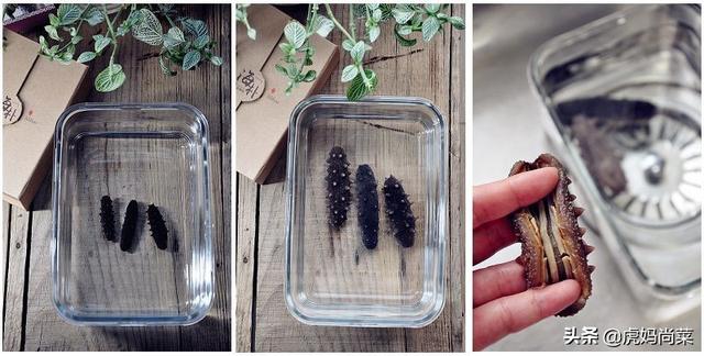 干海参怎么做好吃又简单方便，你知道干海参怎么泡发吗