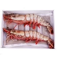 虾有多少品种，淡水虾有哪些品种（虾类双11购买攻略富山虾）