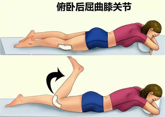 股四头肌的作用，股四头肌内侧头怎么练（股四头肌是膝关节的“稳定器”）