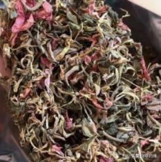 野生与种植的金线莲功效区别，金线莲栽培品和金线莲野生品的区别秘密