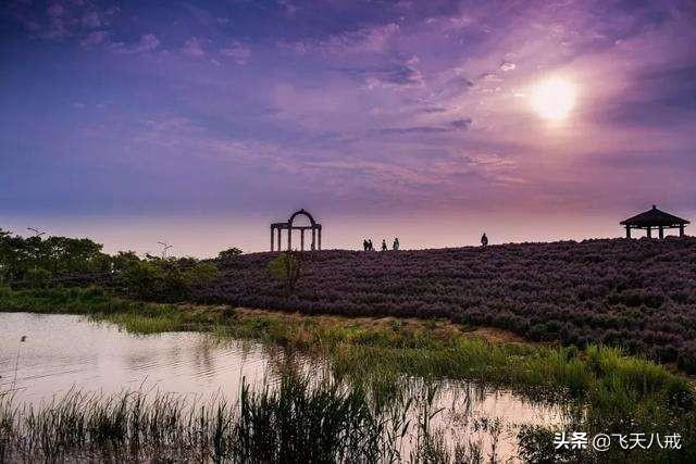 南京景点介绍，南京一日游必去景点推荐（南京九个不得不去的小众景点）