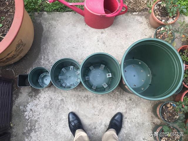 5加仑等于多少升，一桶5加仑等于多少升（关于花盆的常见尺寸问题）