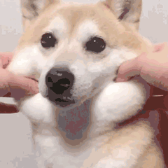 页眉横线怎么设置，页眉横线怎么上下移动位置（Word页眉横线就是删不掉）