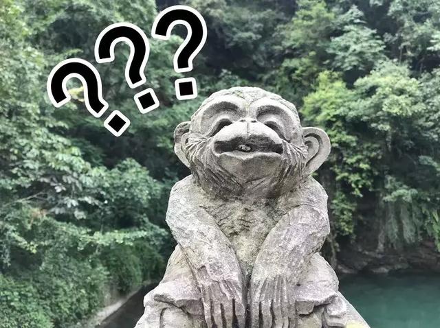 峨眉山海拔多少米，四姑娘山海拔多少米（游峨眉山4大误区，你中了几个）