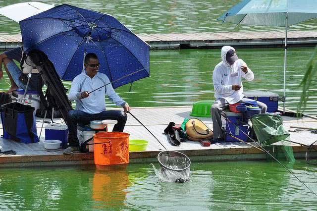 钓箱选购指南：每个钓鱼人都曾纠结的渔具必备清单与实用推荐