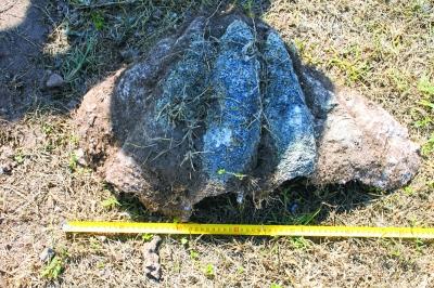 中国发生过海啸吗，中国哪些地方容易发生海啸（古中国发生过海啸吗）