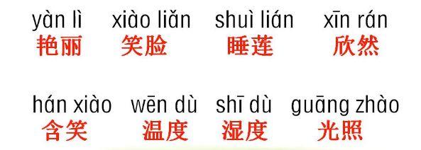 等待的待组词(等待的待组词和拼音)