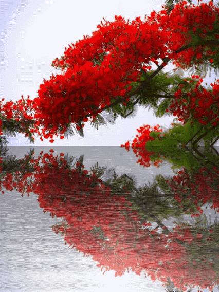 漂亮的图片，漂亮的图片人的头像动漫（这九张图片）