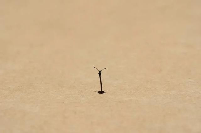 日本顶尖设计作品欣赏，NDC这8件作品代表了日本当今的设计水平