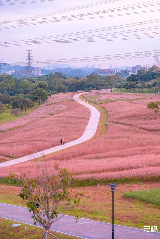 深圳哪里好玩又便宜，深圳哪里好玩又便宜的地方（《11月深圳打卡指南》来了）