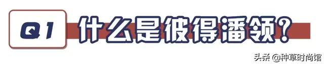 彼得潘领是娃娃领吗，彼得潘领图片（“彼得潘领”太火了）