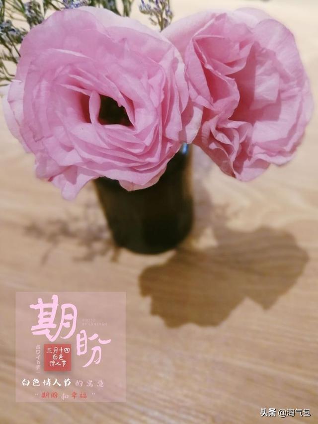 12个月都有什么情人节，二月没过情人节的今天补上