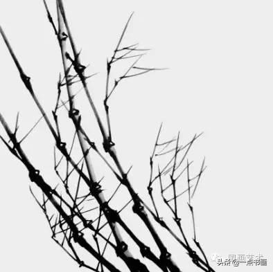 国画竹子的画法，水墨竹子的画法（国画教程——怎样画竹<提高篇）