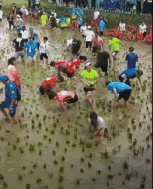 梦见自己穿裙子，梦见自己穿裙子是怎么回事（老婆第一次穿裙子坐公交吓得身后的小哥连连后退）