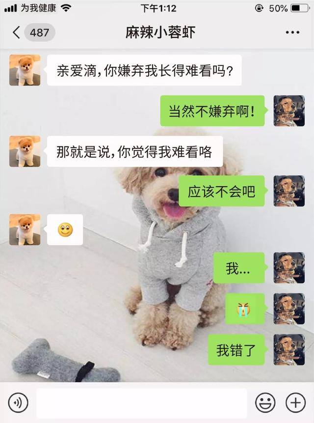 情侣套路话一问一答，情侣套路一问一答大全（“逗逼情侣”的日常聊天）