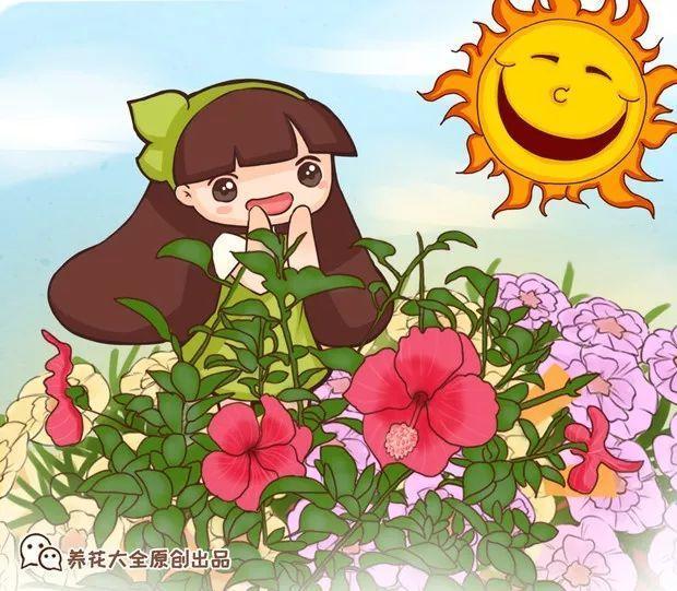 SuSu:一起种草莓来吗，微信头像，SuSu:一起种草莓来吗?【杂图】（花芽蹭蹭长满盆）