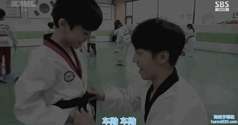 九家之书剧情，九家之书剧情分集（一起惊天腐败案浮出水面）