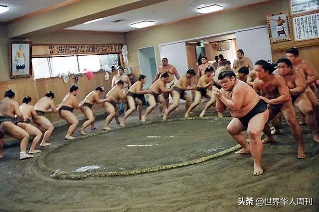 相扑运动员寿命，日本相扑冷知识（日本相扑选手因新冠去世）
