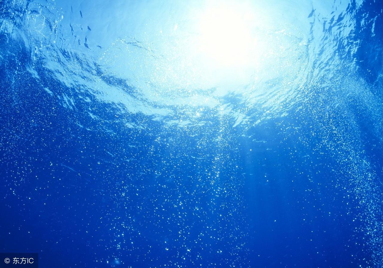 我的学校500字（二十年后的我作文500字）