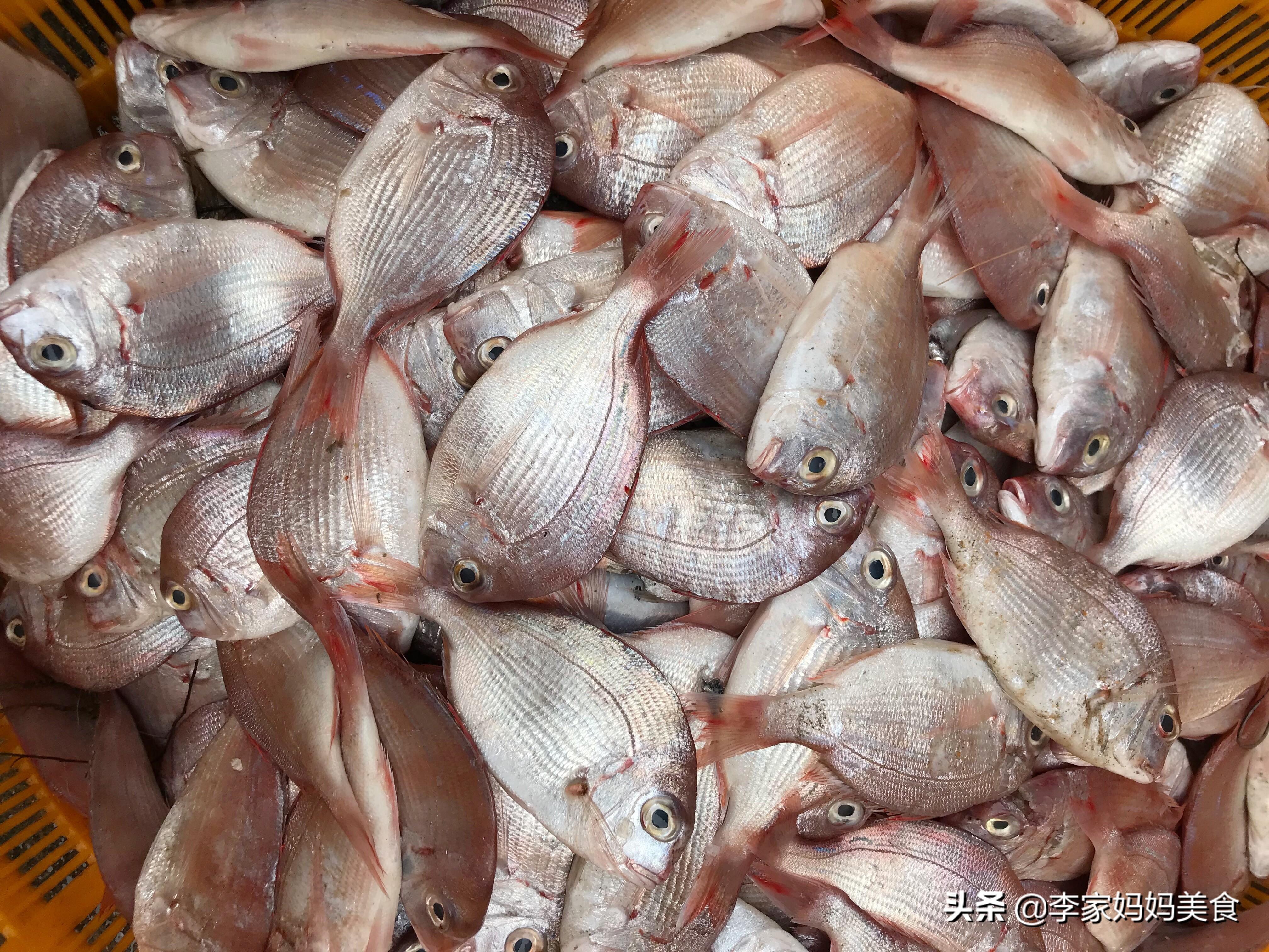 黄赤鱼的肉质比较紧实,鱼肉更香有口感,是老渔民喜欢的海鱼之一,不过