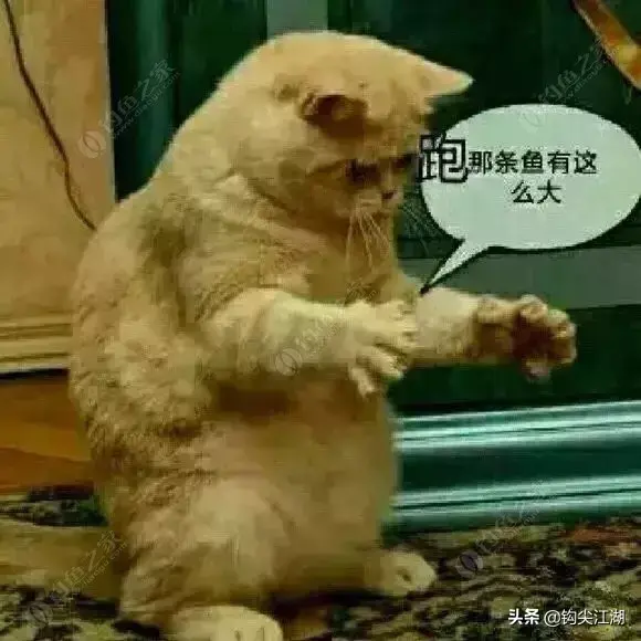 钓鱼表情包(禁止钓鱼emoji表情)