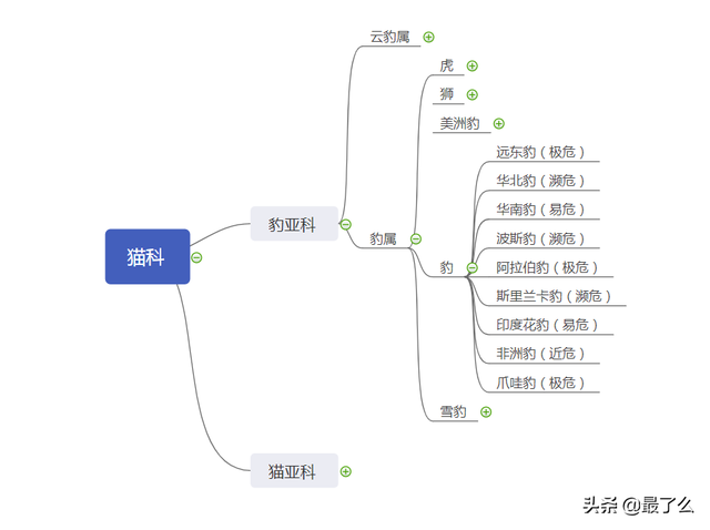 美洲豹和黑美洲狮有什么区别，一篇文章带你读懂大型猫科动物分类