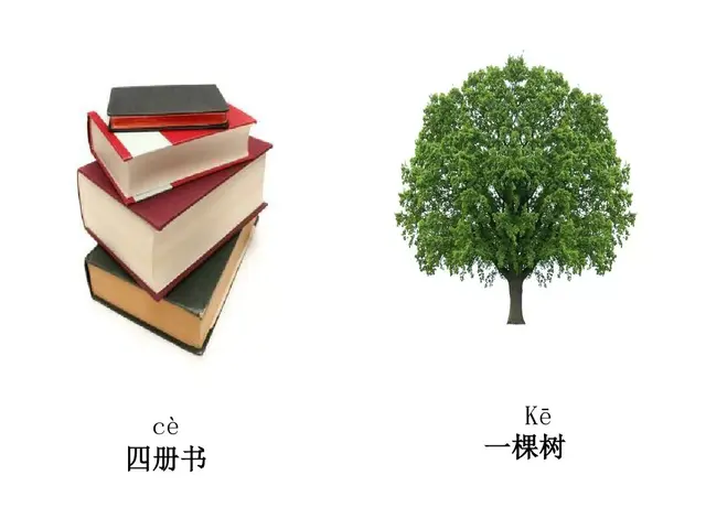 纯洁的反义词，轻盈光滑高傲纯洁的反义词（部编版一年级下册《语文园地二》+和大人一起读《阳光》知识点）