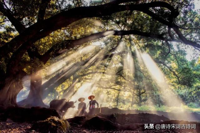 不待扬鞭自奋蹄，不用扬鞭自奋蹄（俯首甘为孺子牛）