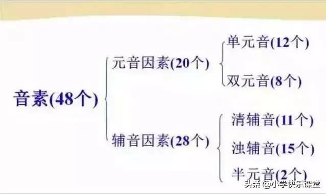音标读音表发音教学，音素表怎么写（48个国际英语音标发音表及口型）