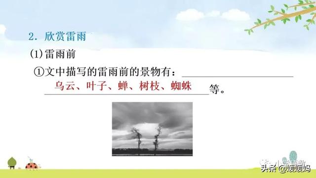 形容闪电的词语，描写闪电的四字词语（二年级下册语文课文16《雷雨》图文详解及同步练习）