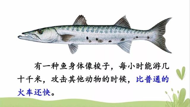 海底有哪些丰富的物产，海底有哪些丰富的物产和特征（部编版三年级下册第23课《海底世界》图文讲解）