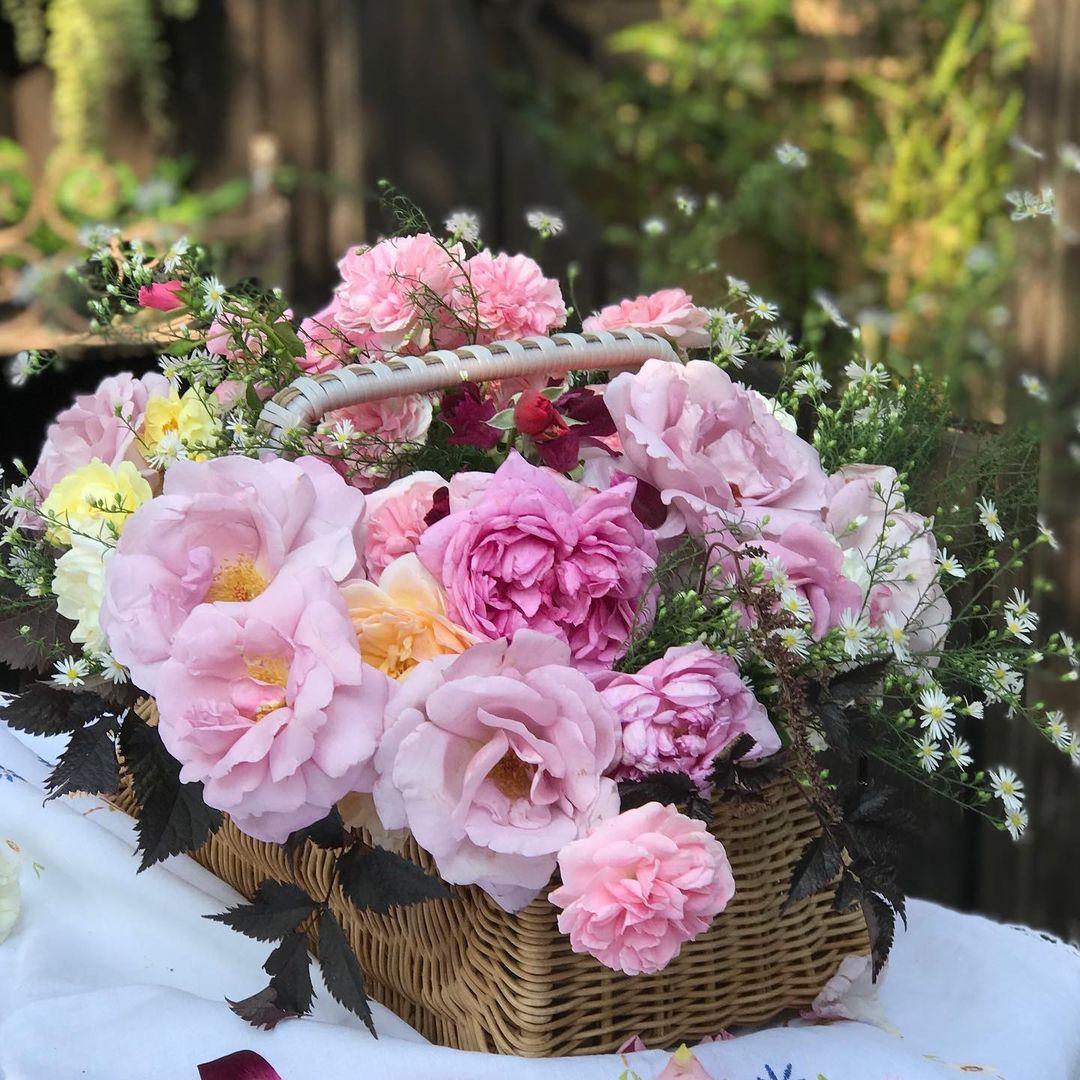 花篮唯美图片2356,520花篮图片(盛唐风格,唯美灵动的提篮插花)