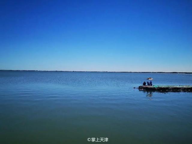 天津海邊旅遊景點排行榜,天津塘沽旅遊景點大全(天津7處小眾看海點