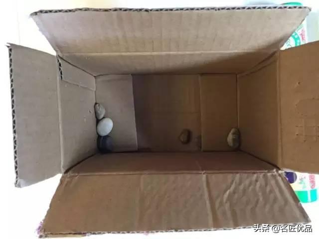 纸桥的做法，纸桥的做法教程视频（22个材料超简单的科学小实验）