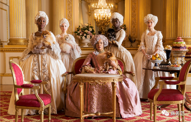 狗狗衣服大全纸样图片，狗狗衣服的手工DIY（7500件衣服、珠宝浮夸）